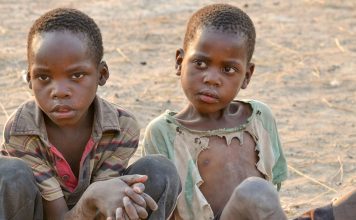 DOM CILOTO – Zambia